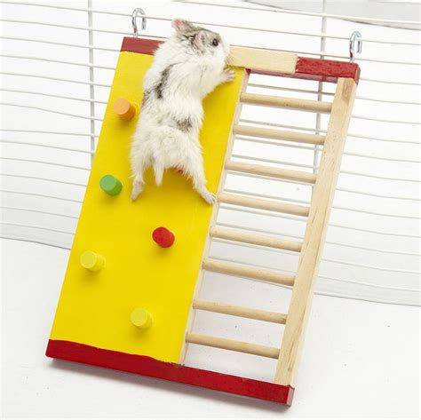 hamster ladder|More.